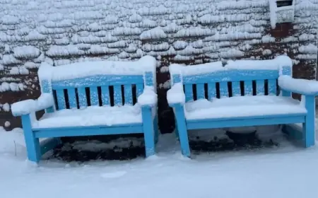 Snowfall Warning Triggers Delays and Closures Across P.E.I.