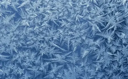 Extended Cold Snap Forecast: Prepare for This Week’s Chilling Weather Trends