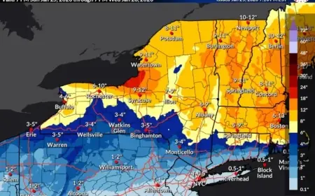 Central NY Braces for 4-8 Inches as Winter Storm Warning Intensifies