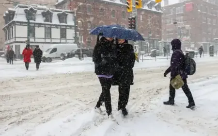 Toronto Battles Record Snowfall: School Closures and Subway Disruptions