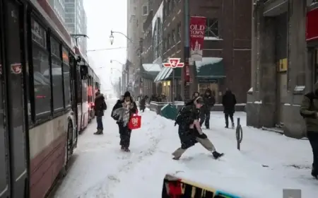 Massive Snowfall to Disrupt Toronto Transit and Transportation