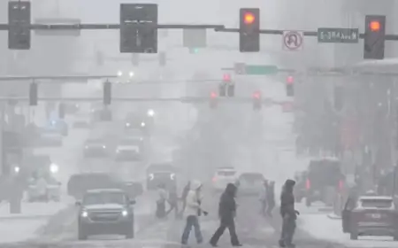 Snowstorm Postpones Nuggets vs. Grizzlies Game