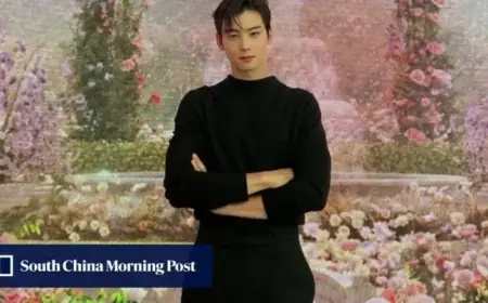 K-Drama Star Cha Eun-woo Faces Ad Pulls Amid South Korean Tax Probe