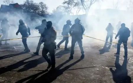 Video and Witnesses Illuminate Moments Before Agent’s Fatal Shooting of Alex Pretti