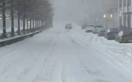 NYC Probes Six Deaths Potentially Tied to Extreme Cold Weather