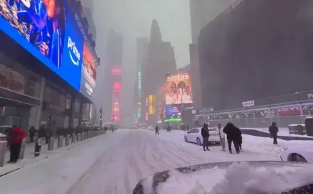 New York Weather: NYC Snow Totals Hit 11.4 Inches as MTA Runs Modified Service and Schools Go Remote Monday