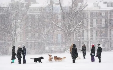 Boston snow totals today: Logan Airport at 18.6 inches as Massachusetts digs out from a major snowstorm