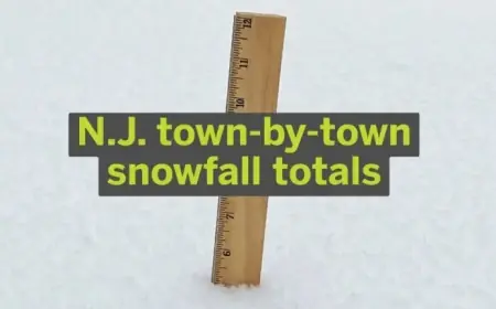 N.J. Storm: Weekend Snowfall Reaches 17 Inches with Town-by-Town Reports