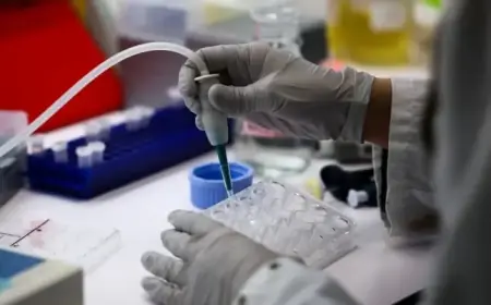 Drugmakers Leverage AI to Accelerate Trials and Regulatory Submissions