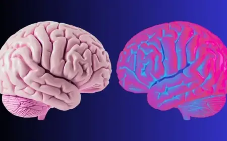 Scientists Uncover Brain Waves Defining Personal Identity Boundaries