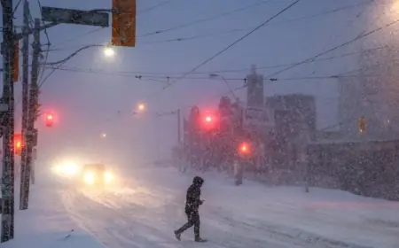 Winter Storm Snowfall Totals: Where the Snow Hit Hardest and What Comes Next After the Freeze