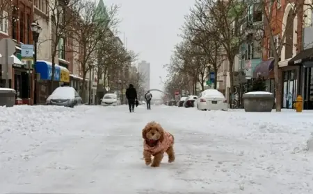 Philadelphia Snowfall: Latest Forecast and Totals Update