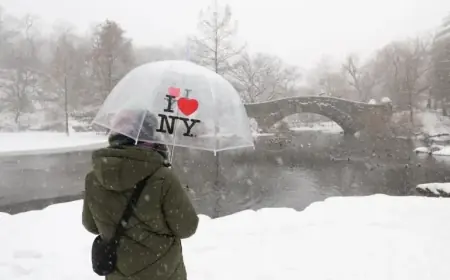 Upstate NY Counties Enforce Travel Bans as Winter Storm Looms