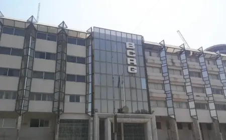 Guinea: 41.6% of Business Leaders Report Stable Turnover in Q3 2025