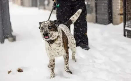 Philadelphia’s First Major 2026 Snowstorm Blankets Region in Stunning Photos