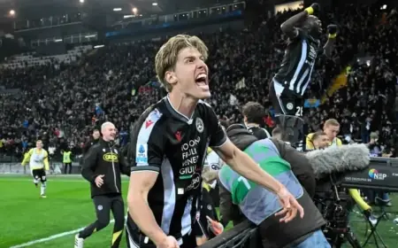 Hellas Verona vs. Udinese: Serie A Betting Odds, Predictions, and Picks