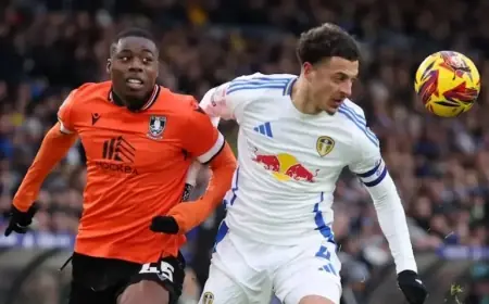 Leeds United Star Earns High Praise from Daniel Farke for Rolls Royce Performances