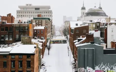 Government Offices, Courts, Libraries Closed Monday