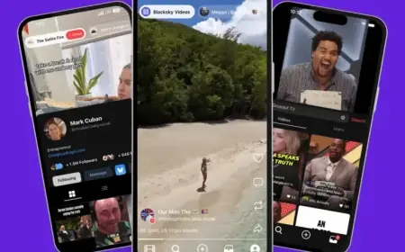 Skylight Surges to 380K Users Following TikTok U.S. Deal Completion