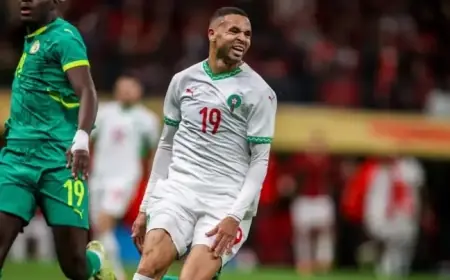 Everton Transfer Update: Youssef En-Nesyri, Wilson Isidor, Brooke Norton-Cuffy