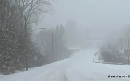 Pittsfield Residents Stay Home Monday Amid Snowstorm