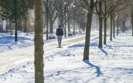 Winter Weather Disrupts Monday, January 26 Events