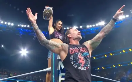 CM Punk Congratulates AJ Lee and Naomi Following WWE Victory
