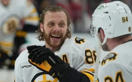 David Pastrnak Delivers Magic for Bruins Teammates