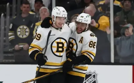 Pastrnak Reaches 900 Career Points Milestone