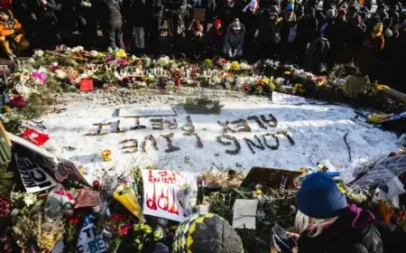 Cruz and McCaul Demand Investigation into Federal Shooting in Minneapolis