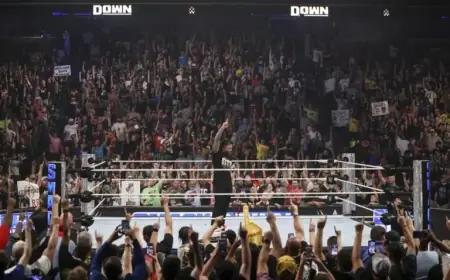 WWE Plans Spectacular Roman Reigns Entrance for Royal Rumble