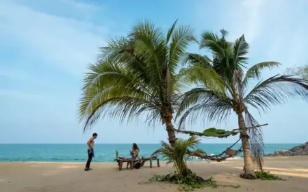 Sam Raimi’s ‘Send Help’ Delivers a Darkly Humorous Workplace Comedy