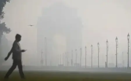 Delhi Faces Coldest Republic Day in 5 Years, Rain Expected Next