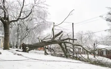 Winter Storm Paralyzes South, Envelops Cities in Ice and Snow