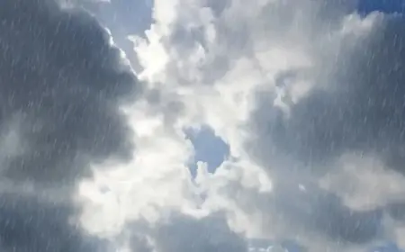 Overcast Skies Today: Expect Light Rain Tomorrow