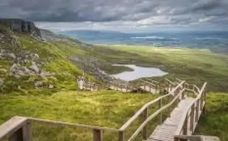 Council Shuts Outdoor Facilities Following Met Office Wind Alert