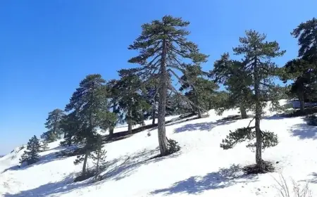 Storms and Snowfall Blanket Mountain Regions Today