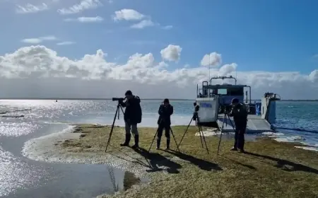 Australia to Launch First Offshore Wind Auction in August After Year-Long Delay