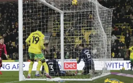 Canaries Triumph 2-1 Over Sky Blues: Highlights, Player Ratings, and Stats