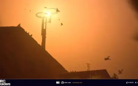 “ARC Raiders: Upcoming Release Date and Update Roadmap Detailed Guide”