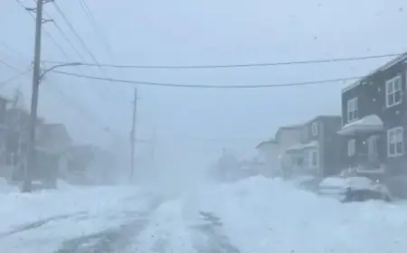 Heavy Snowfall Predicted Tomorrow on South and East Coasts