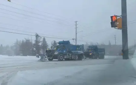 Newfoundland’s East and South Brace for Winter Storm Warning