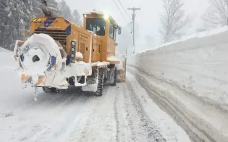 Winter Storm Shuts Schools, Malls in Rochester: Latest Closures Update