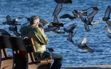Cold Front Approaches: Treasure Coast Braces for Chilling Temperatures