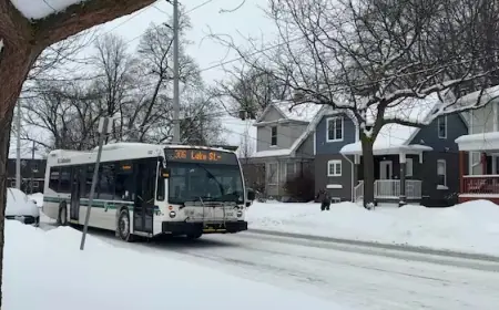 Hamilton, Burlington, and Niagara Recover from Sunday’s Intense Snowstorm