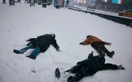 NYC, N.J., and Beyond: Snowfall Totals Revealed