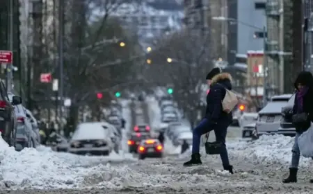 NYC Winter Storm Update: Schools Reopen, Mamdani Confirms All Streets Plowed