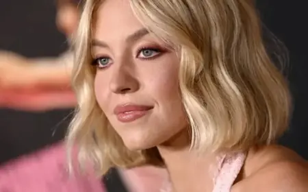 Sydney Sweeney Lacked Approval to Display Bras on Hollywood Sign