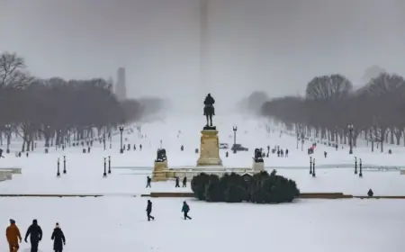 Analysis: Uncovering the Uniqueness of Sunday’s Winter Storm in D.C.