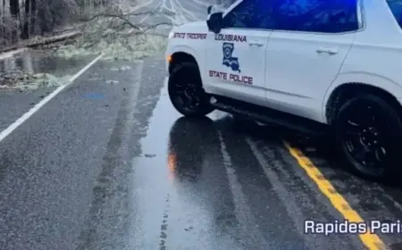 Louisiana Endures Deadly Cold Snap Amid Power Outages and Rising Death Toll